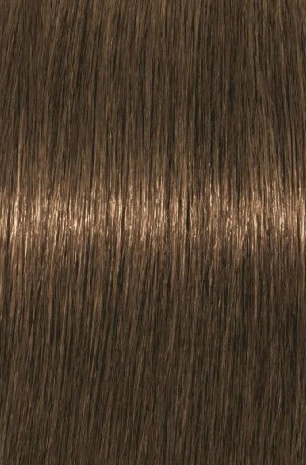 Fő kép